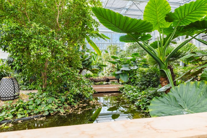 Foto 2 van Prinsessenpark 15