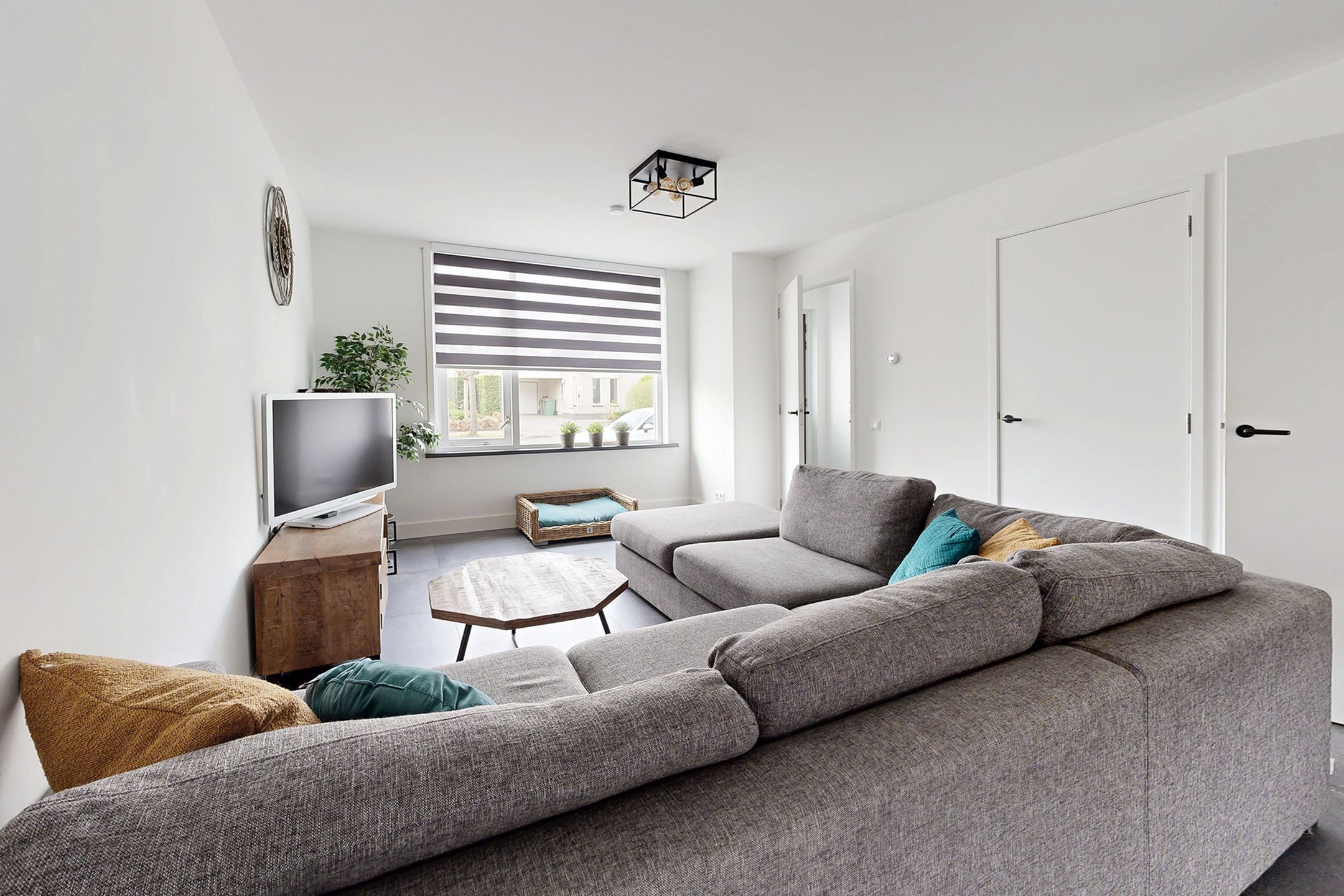 Photo 12 of Hoornbloemstraat 3