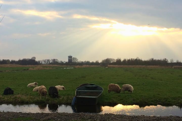 Foto 45 van Middel 66