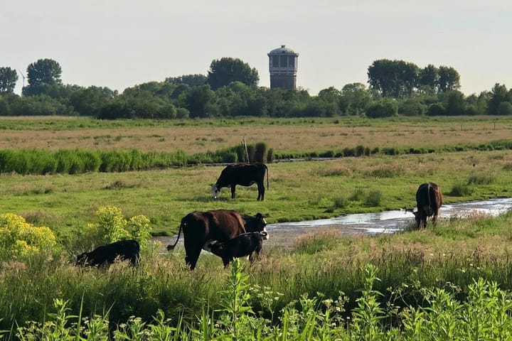 Foto 47 van Middel 66