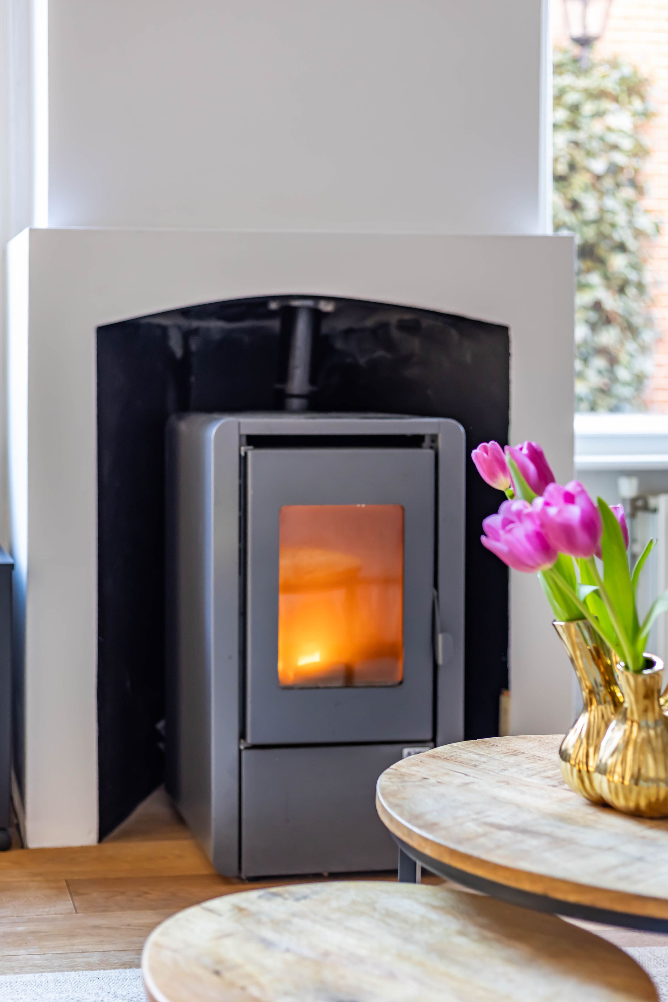 Foto 12 van Petrus Campersingel 113