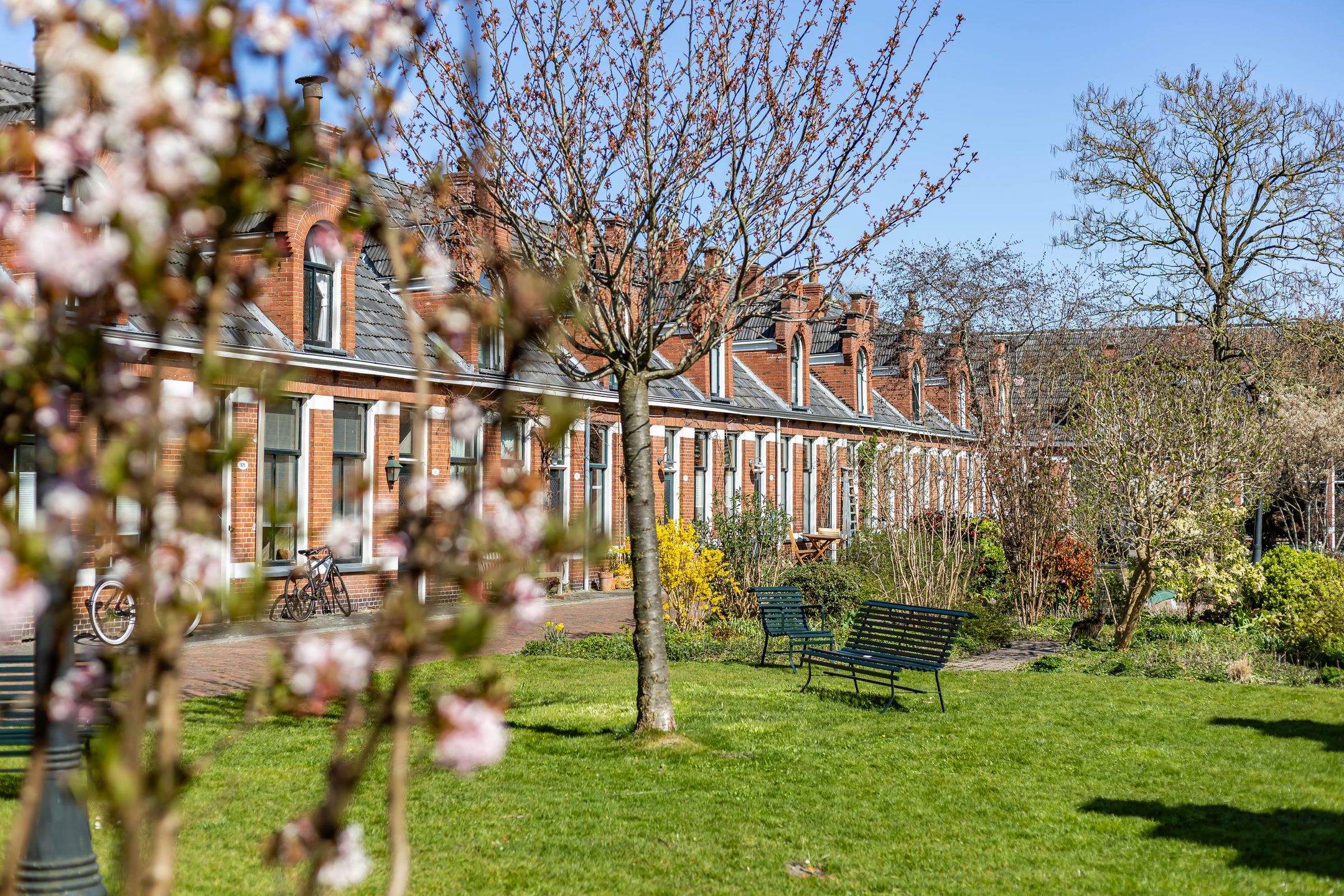 Foto 30 van Petrus Campersingel 113