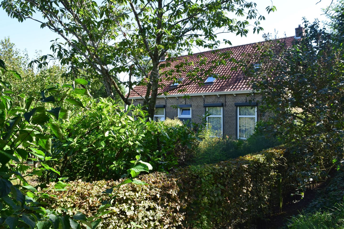 Foto 65 van Molenwater 41