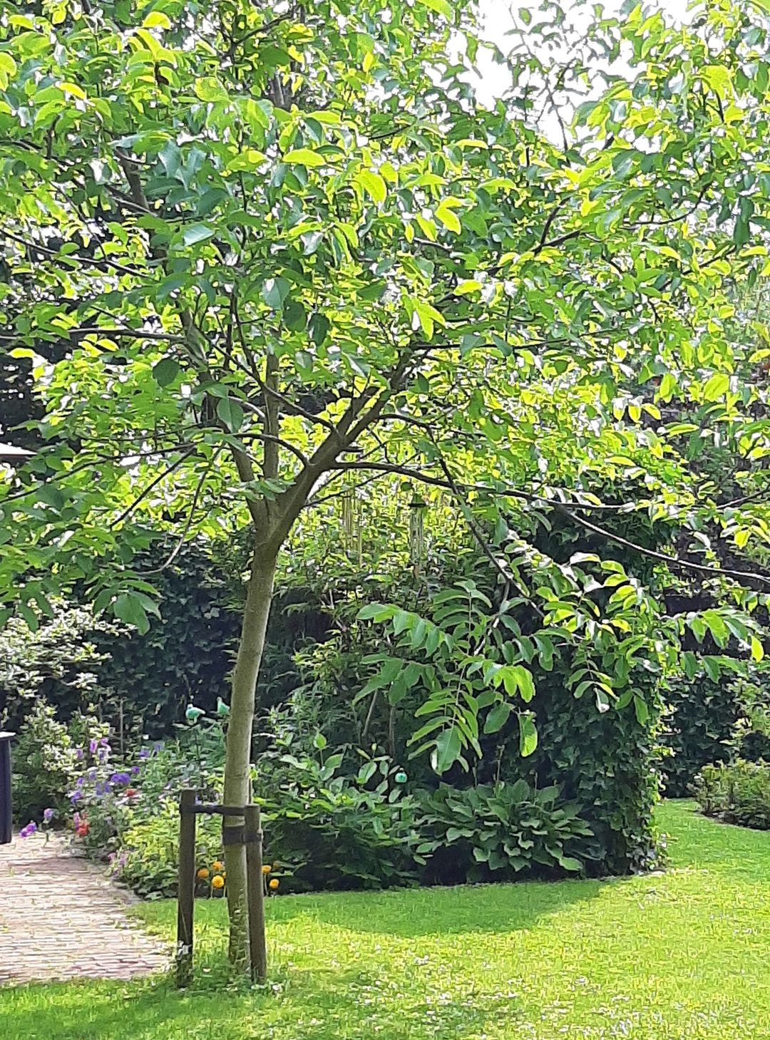 Foto 77 van Beerninkweg 9