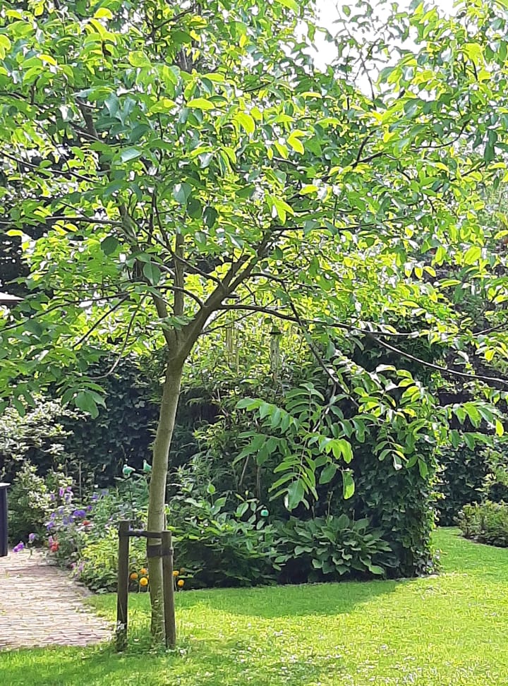 Foto 77 van Beerninkweg 9