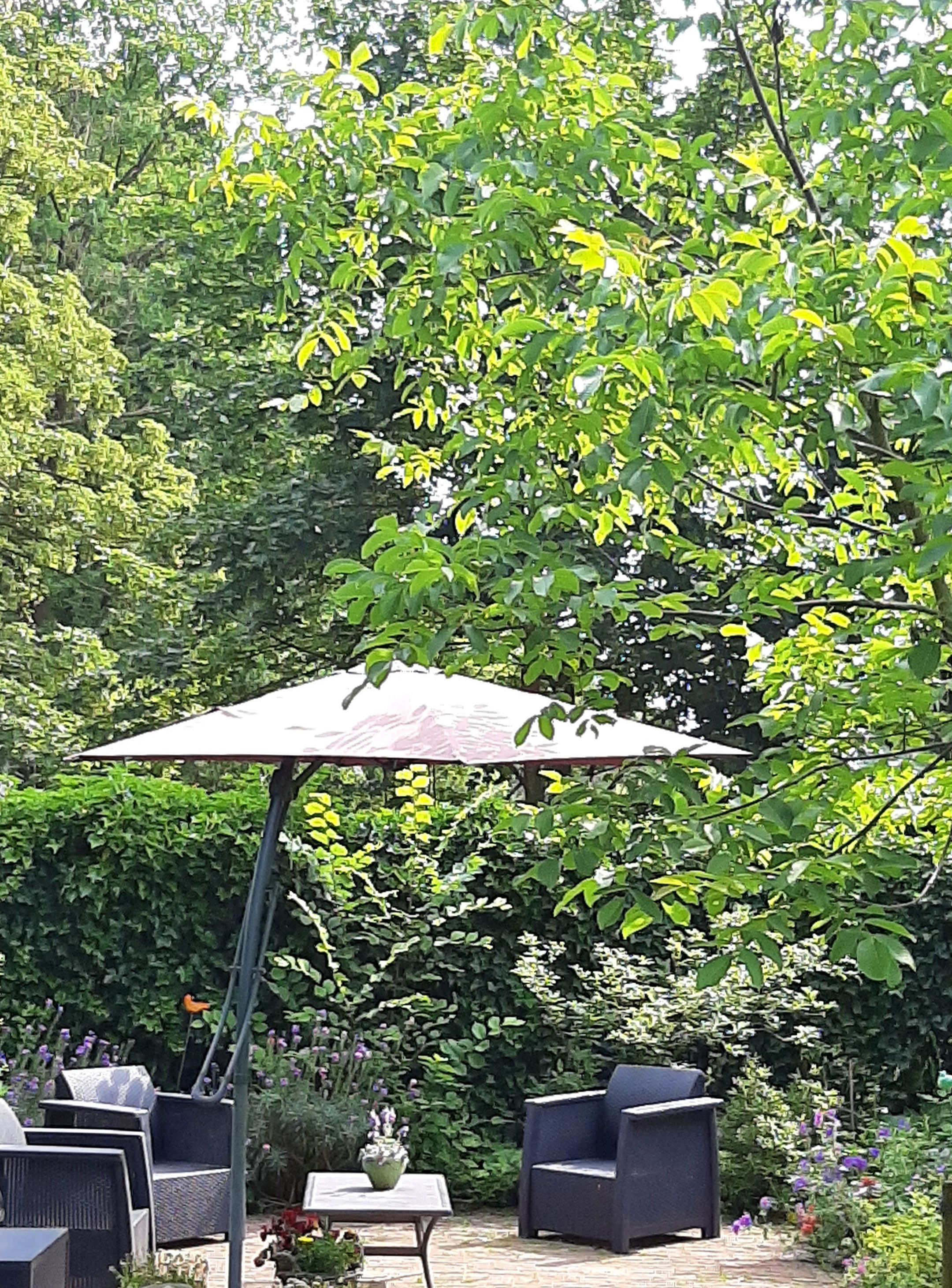 Foto 78 van Beerninkweg 9