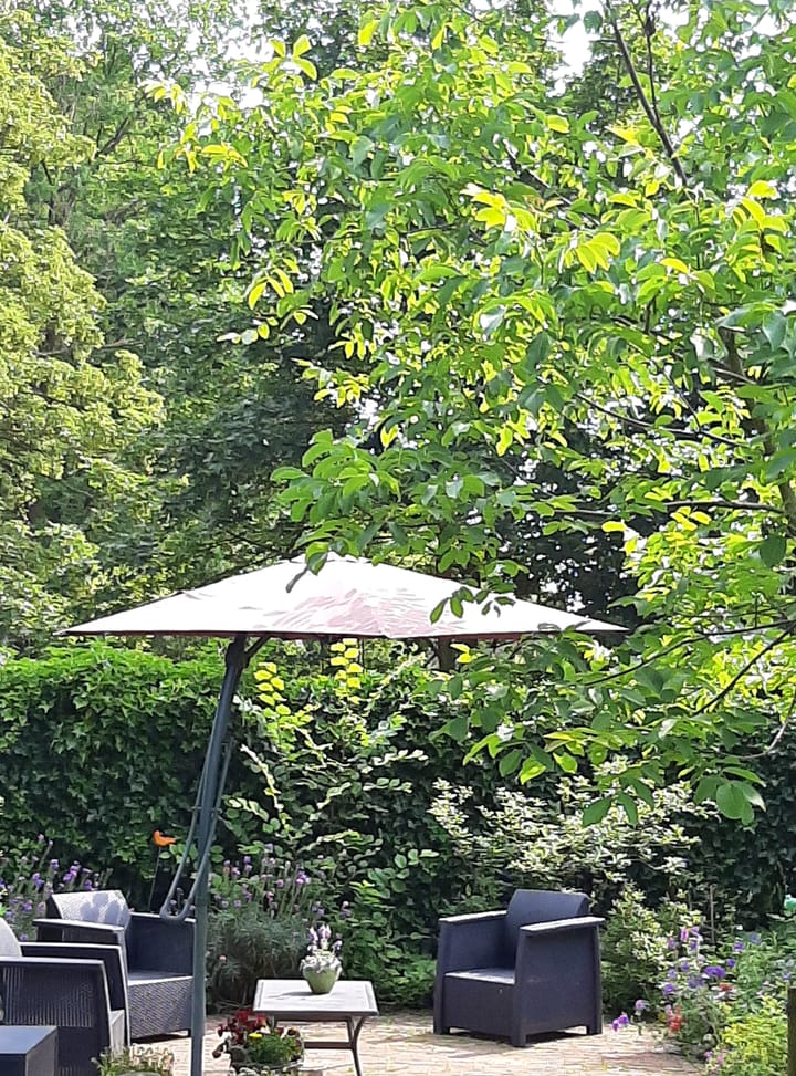 Foto 78 van Beerninkweg 9