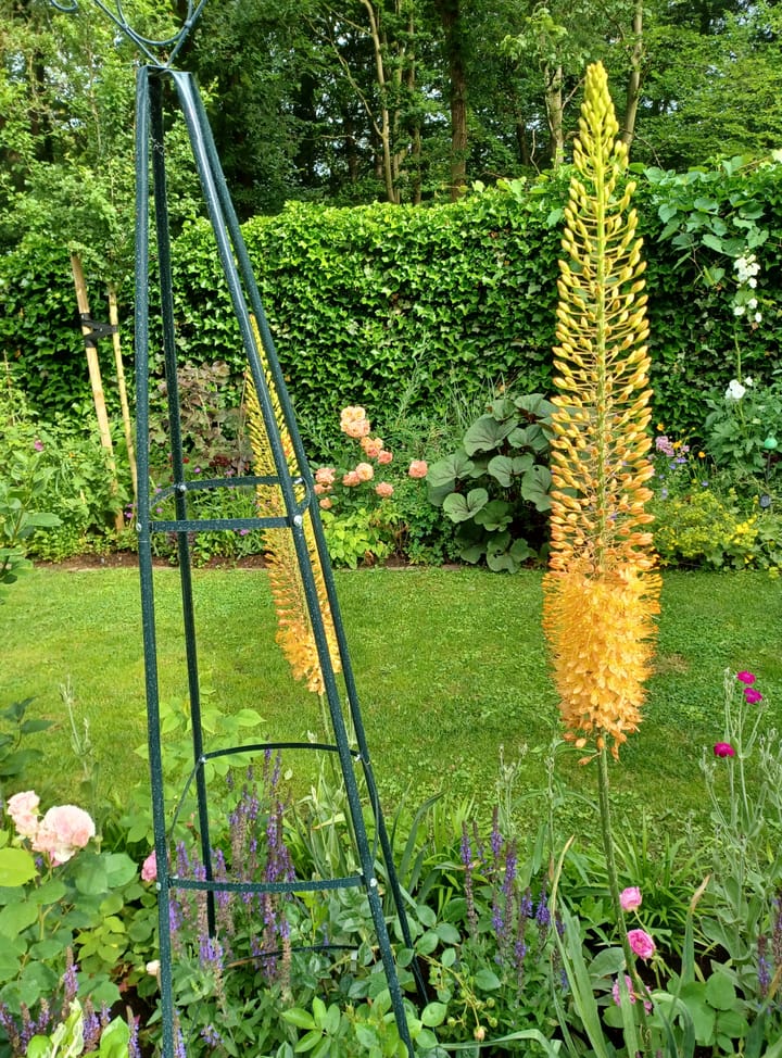 Foto 81 van Beerninkweg 9