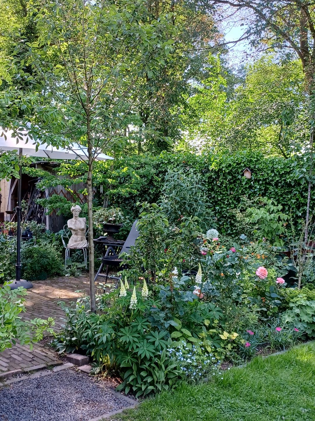 Foto 83 van Beerninkweg 9