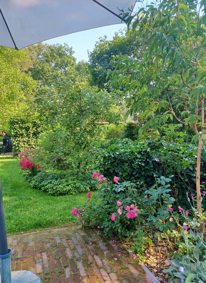 Foto 87 van Beerninkweg 9