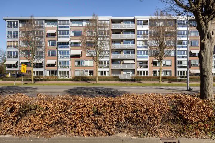 Plantageweg 139