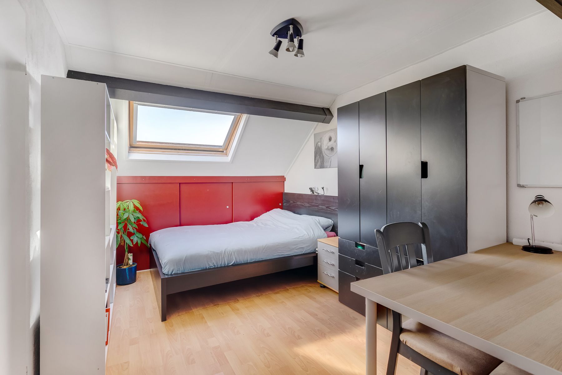 Foto 21 van Moerasbos 24