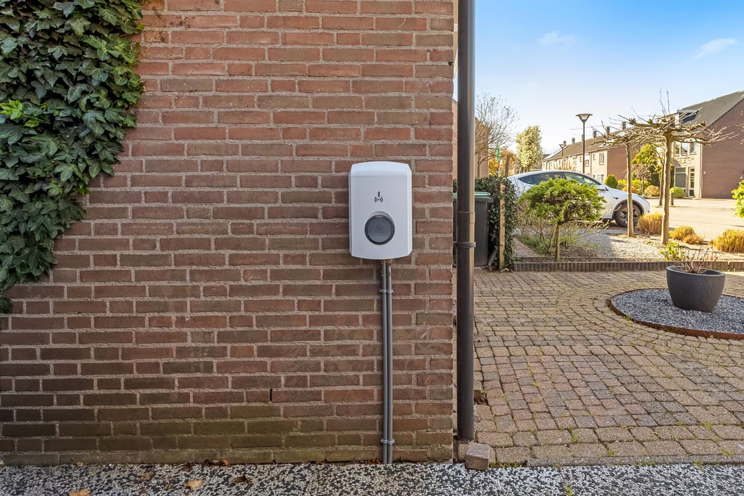 Foto 28 van Moerasbos 24