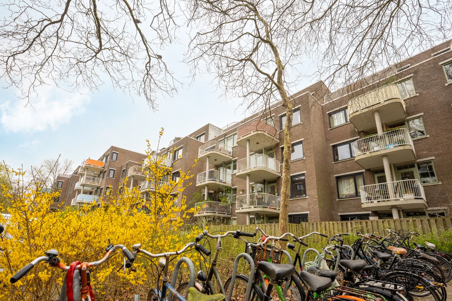 Foto 29 van Marcantilaan 218