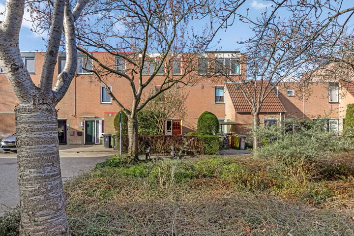 Foto 6 van Tarweakker 63