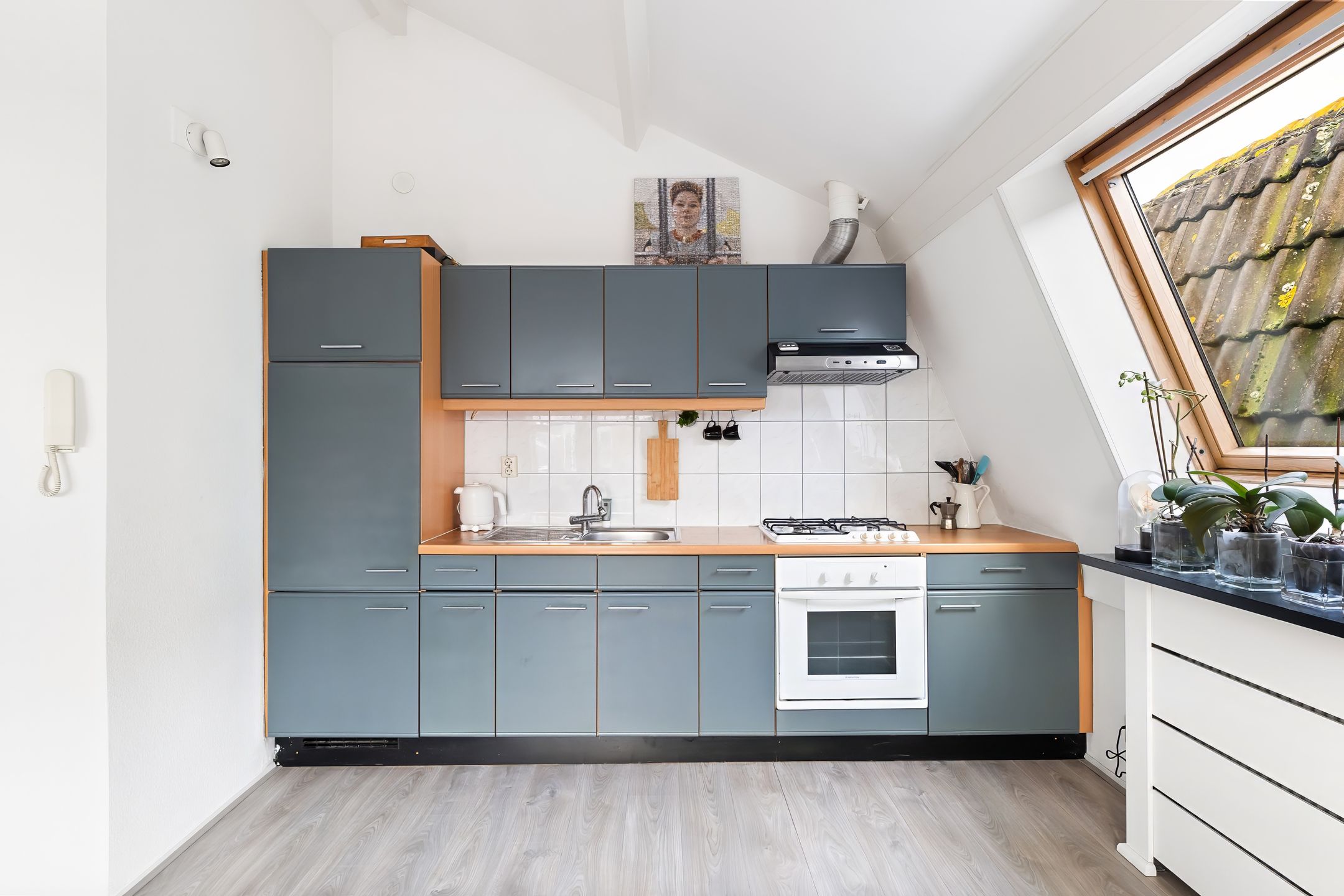 Foto 3 van Van Dishoeckstraat 51