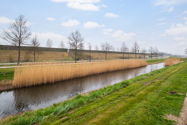 Foto 2 van Arnoldusgulden 48