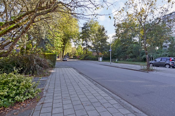 Foto 47 van Aart van der Leeuwlaan 233