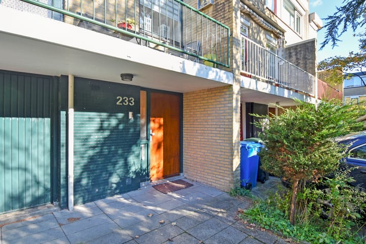 Foto 49 van Aart van der Leeuwlaan 233