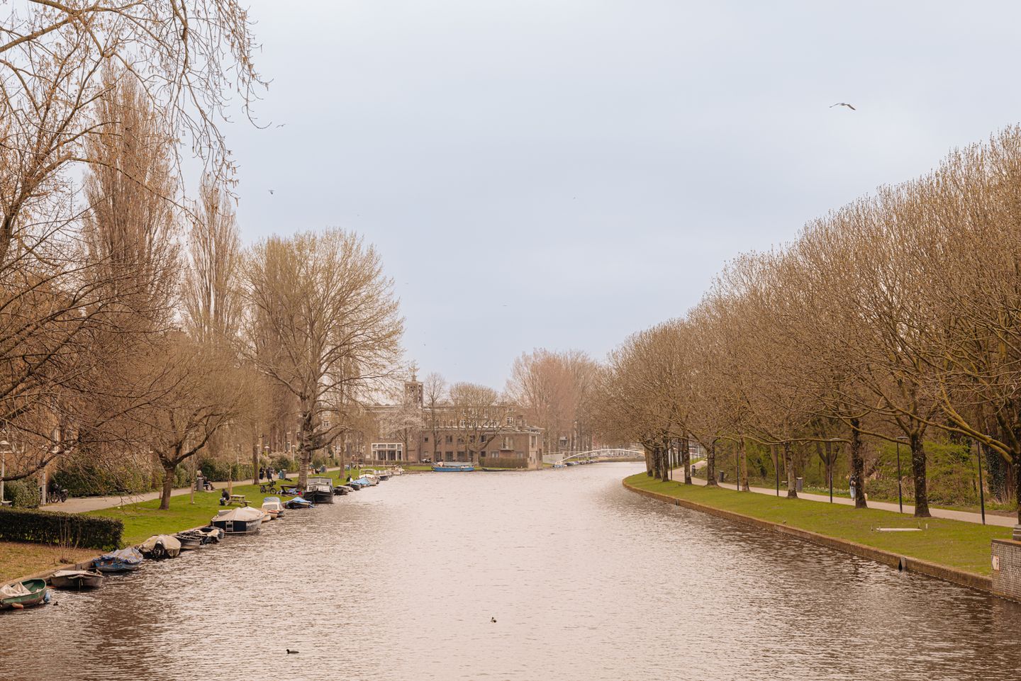 Foto 20 van Griseldestraat 34-4