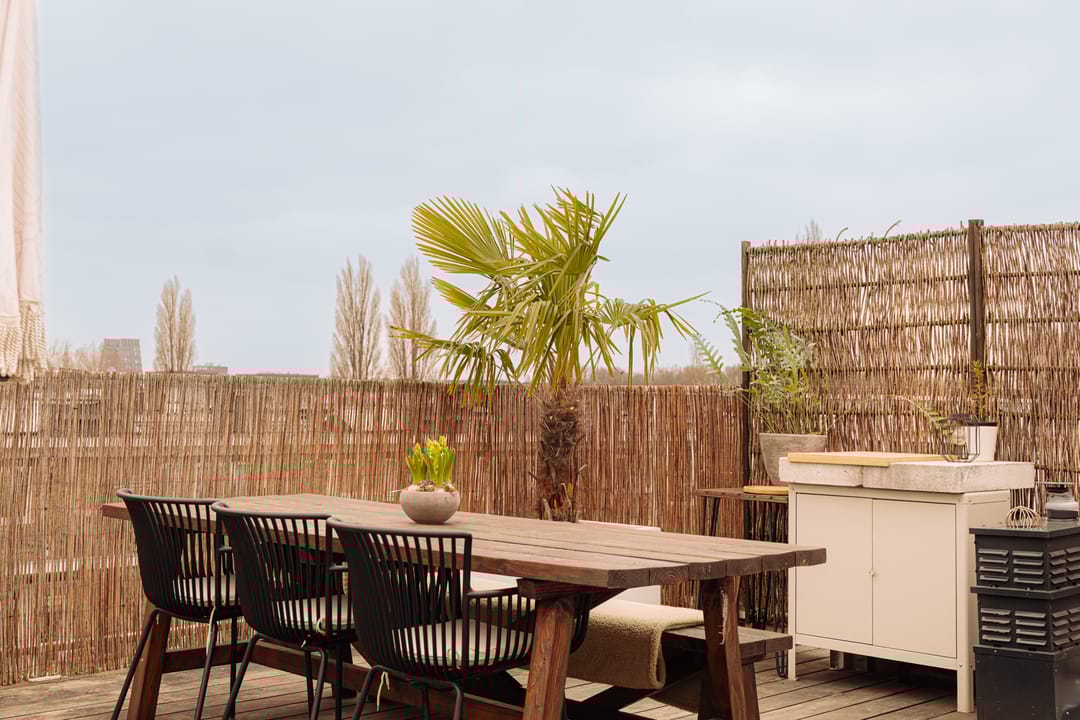 Foto 16 van Griseldestraat 34-4