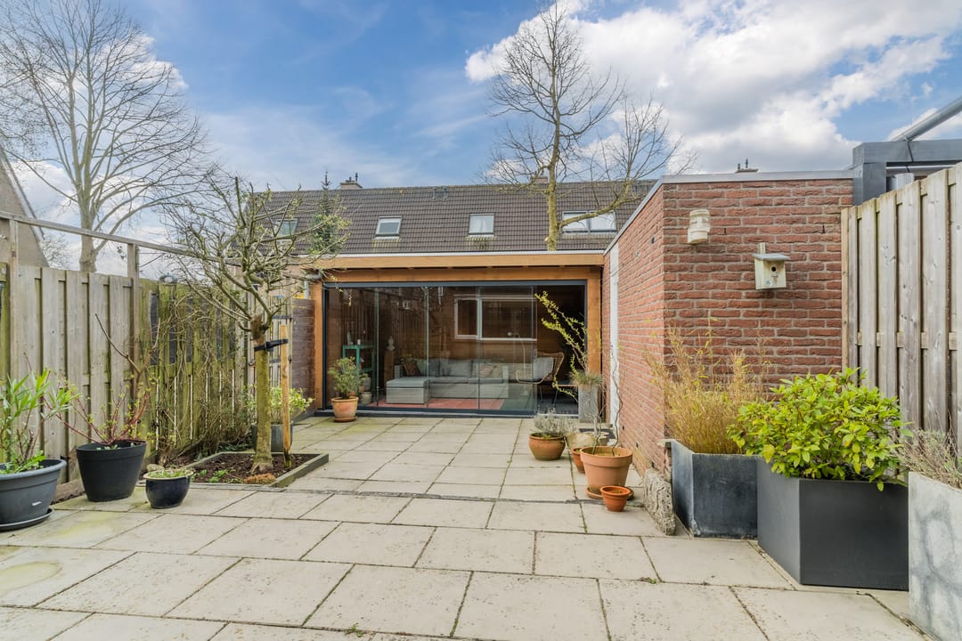 Photo 2 of Akelei 100