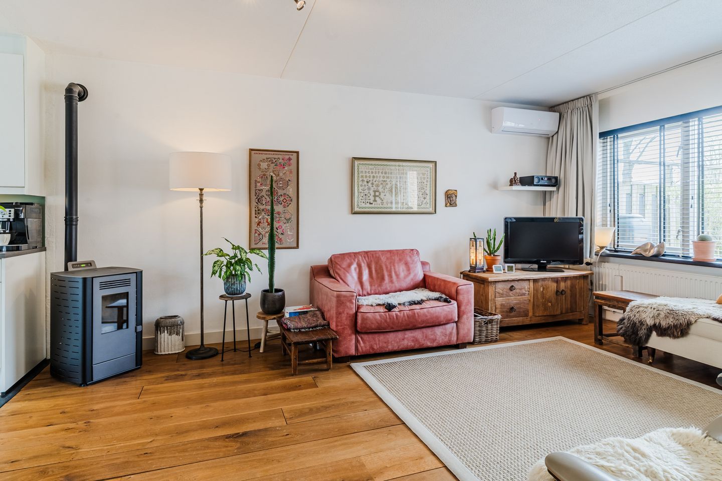 Photo 5 of Akelei 100