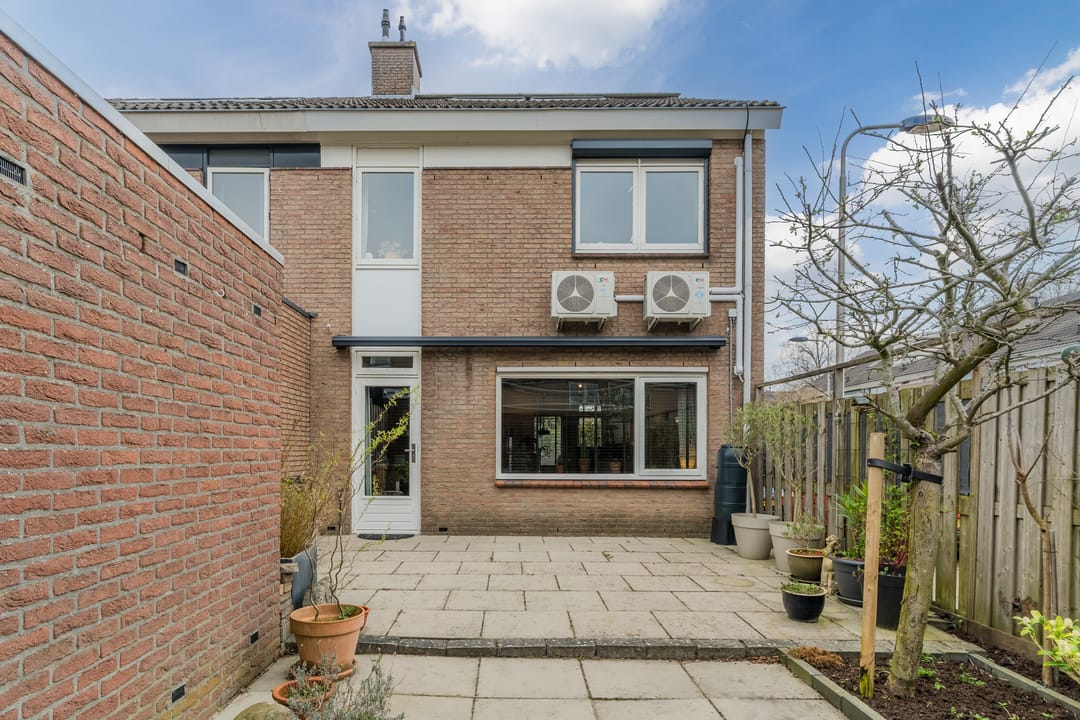 Photo 28 of Akelei 100