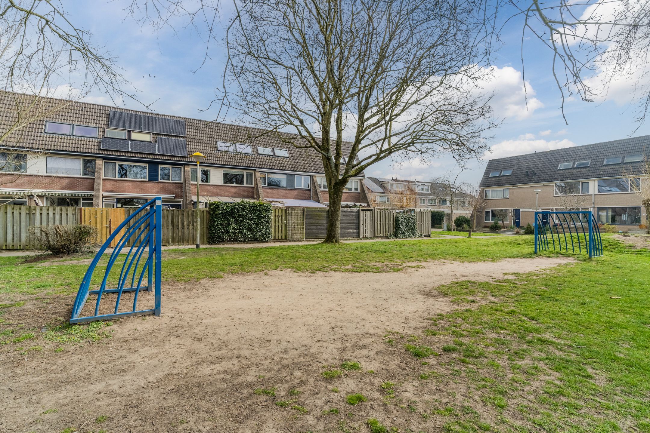 Photo 30 of Akelei 100