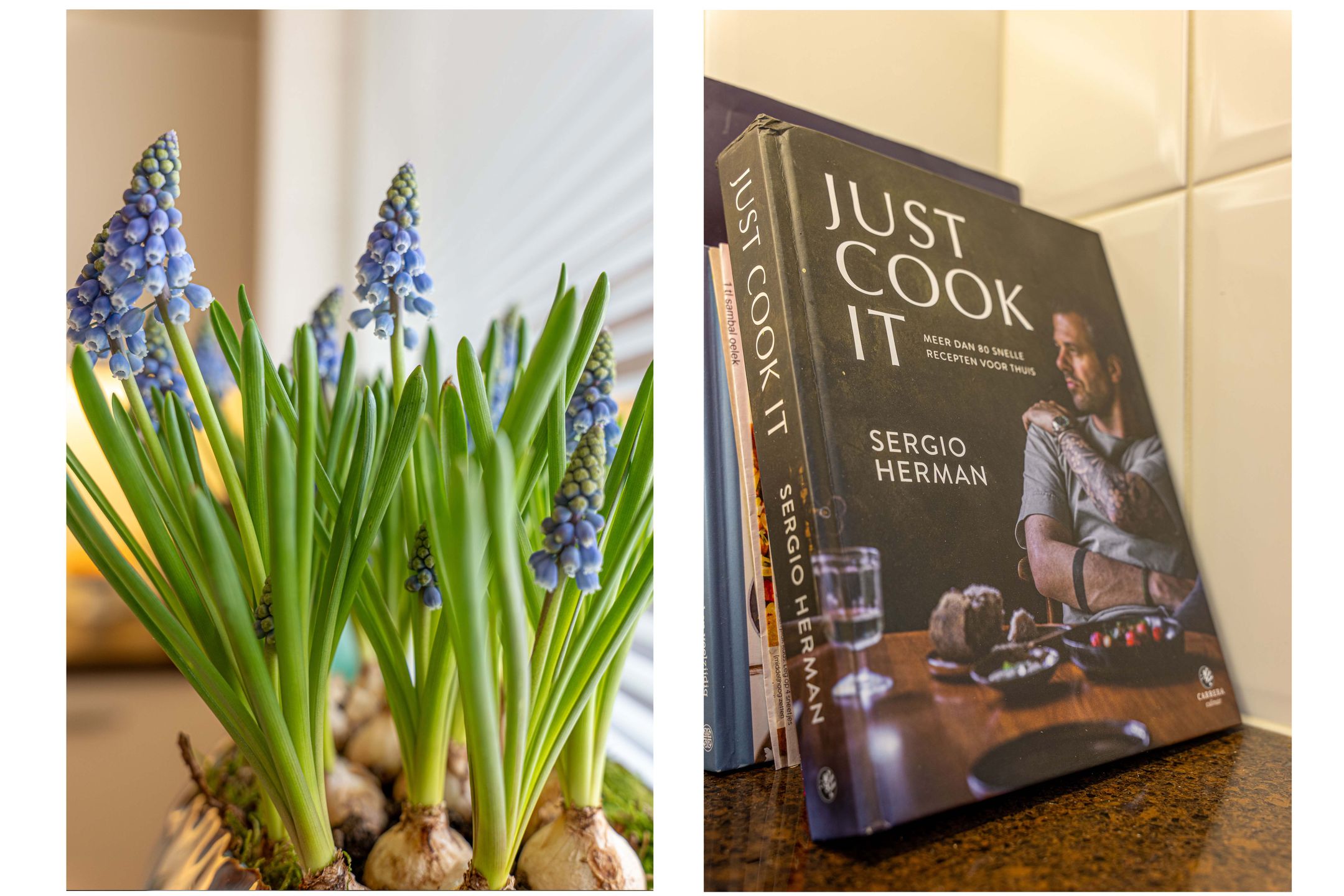 Photo 21 of Utrechtseweg 26-8