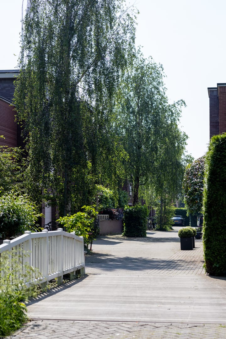 Photo 50 of Kralingseweg 391-A