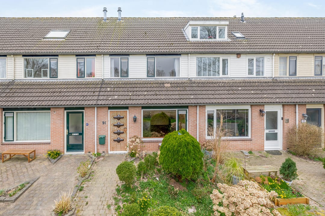 Foto 2 van Roerdomp 91