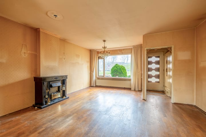 Foto 5 van Roerdomp 91