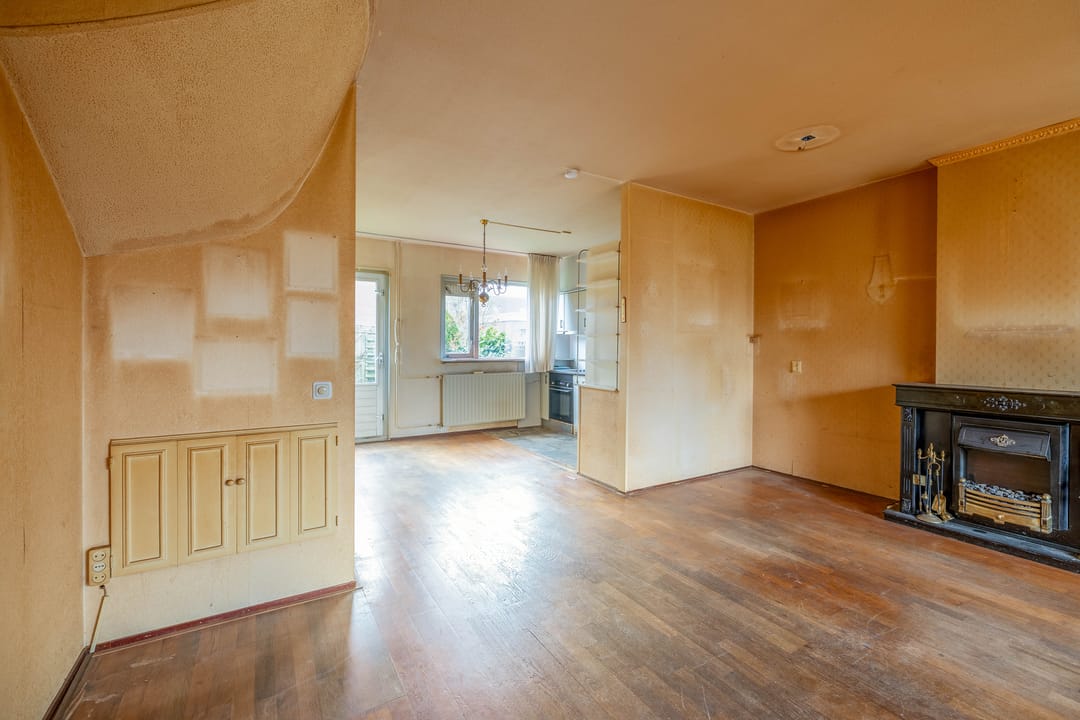 Foto 7 van Roerdomp 91