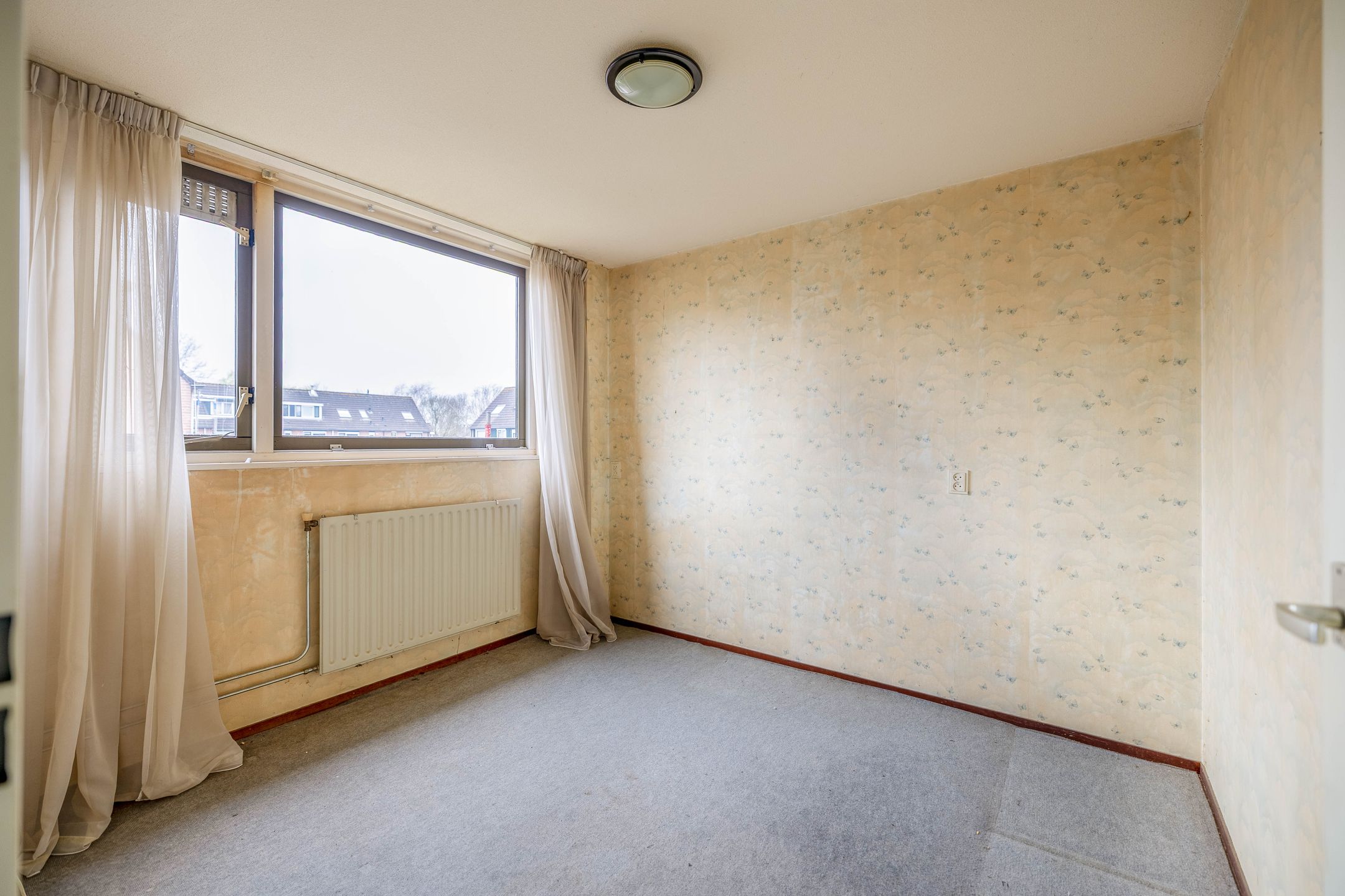 Foto 21 van Roerdomp 91