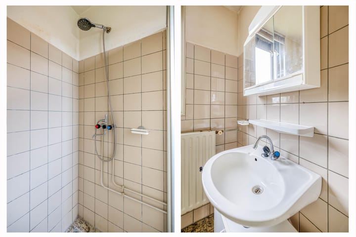 Foto 22 van Roerdomp 91