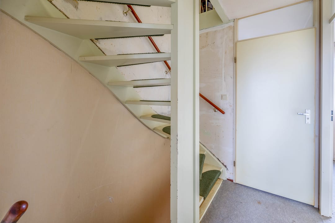 Foto 26 van Roerdomp 91