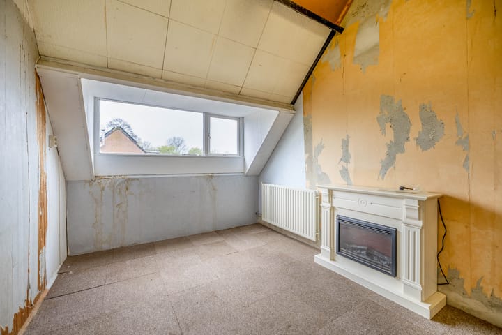 Foto 28 van Roerdomp 91