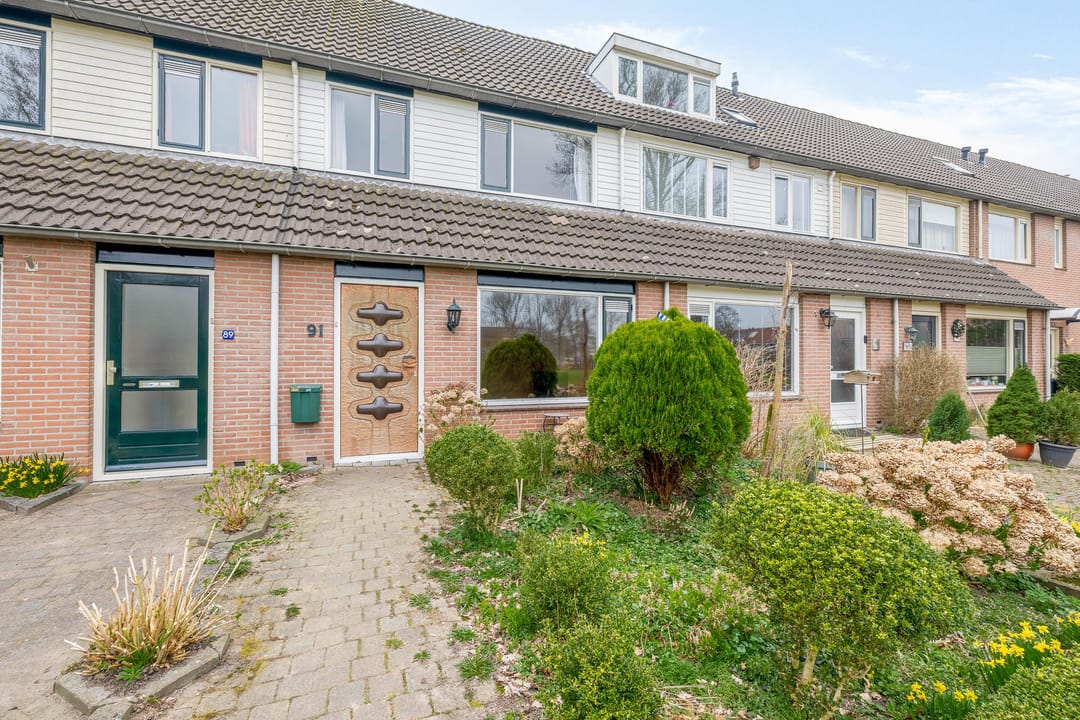 Foto 31 van Roerdomp 91