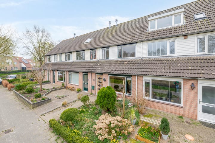 Foto 32 van Roerdomp 91