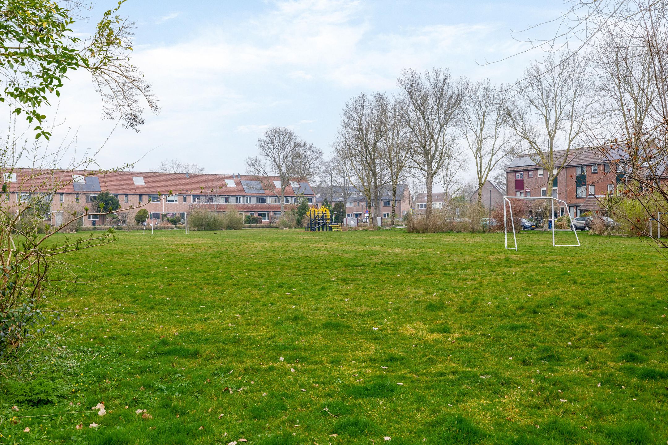 Foto 33 van Roerdomp 91