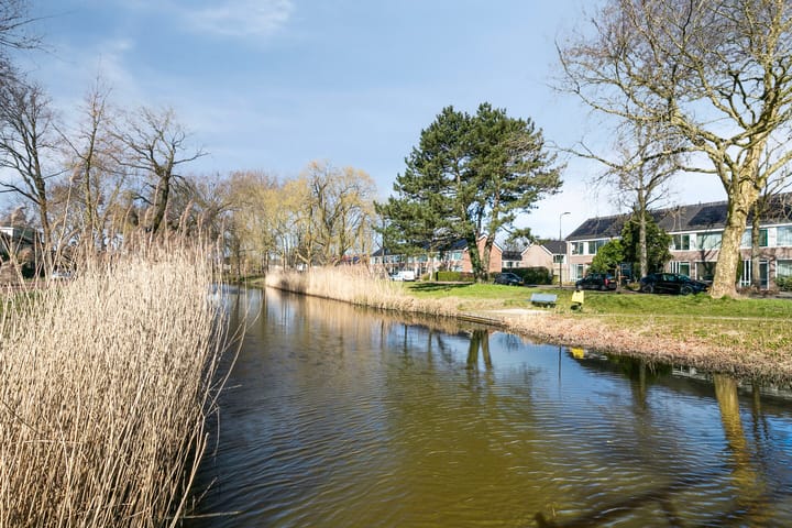 Foto 36 van Paulus Potterstraat 9