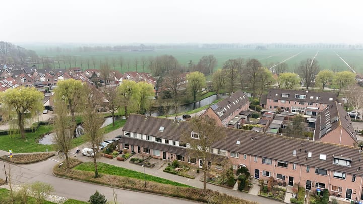 Foto 35 van Roerdomp 91