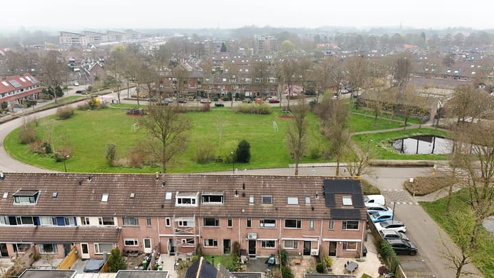 Foto 39 van Roerdomp 91