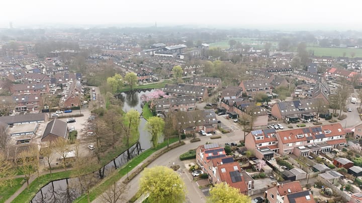 Foto 41 van Roerdomp 91