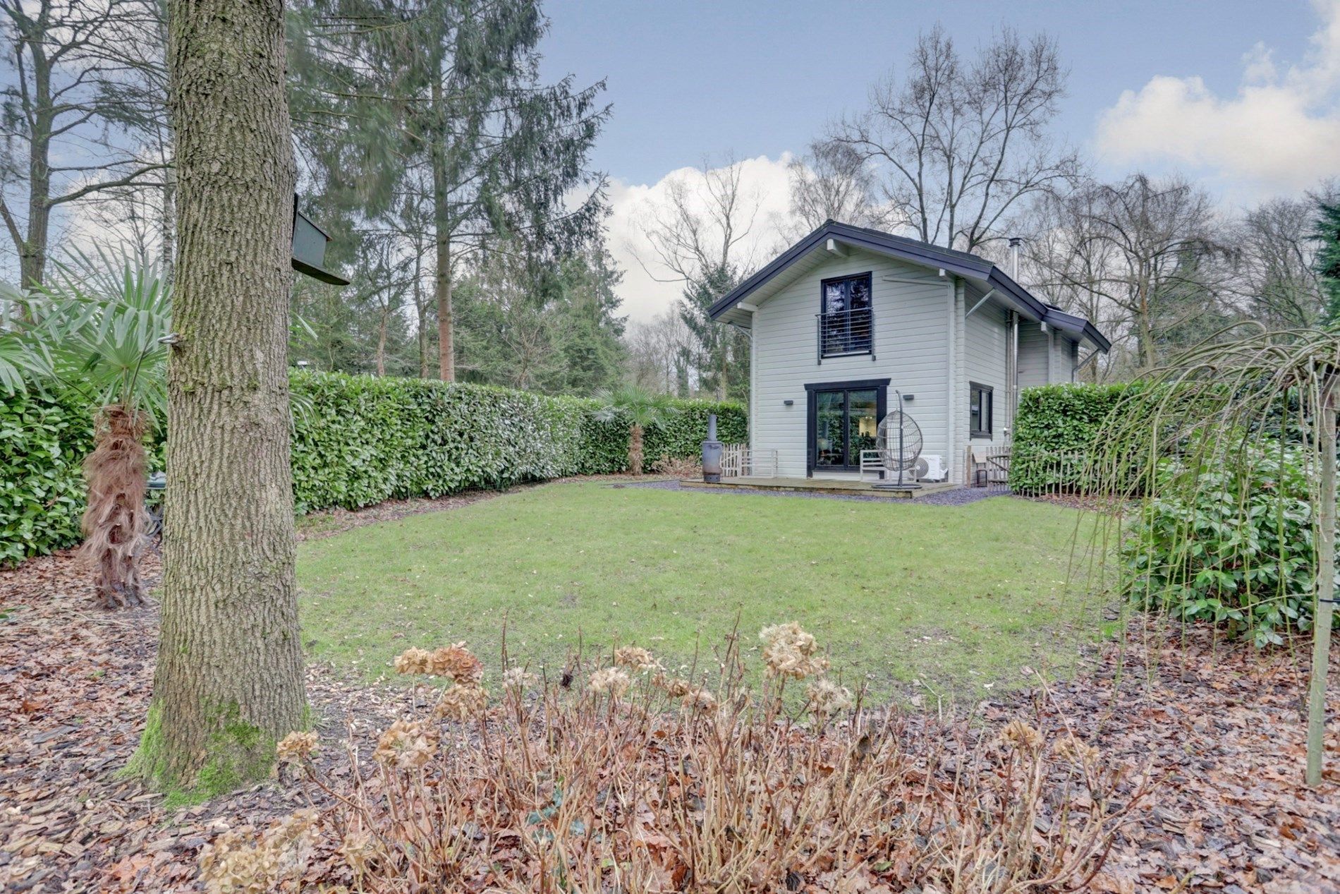 Foto 3 van De Stille Wille 212