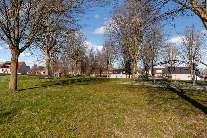 Photo 61 of Passaat 45