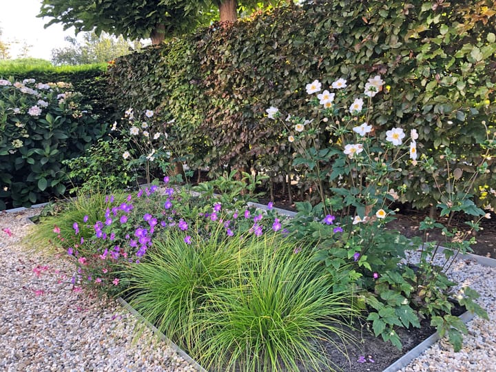 Foto 4 van Parkietstraat 18