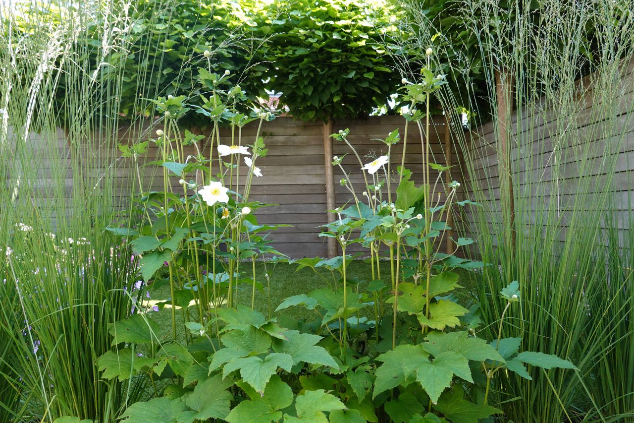 Foto 14 van Parkietstraat 18