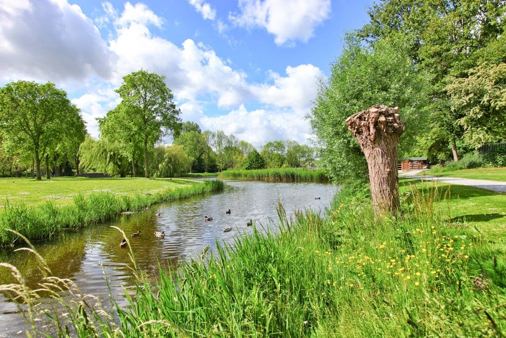 Foto 40 van Parkietstraat 18